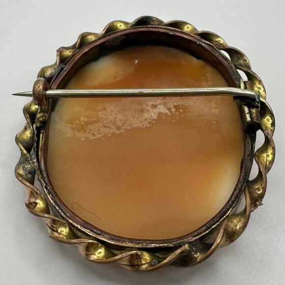 Antique Victorian gold filled woman with dog bridge carved shell cameo brooch - Picture 8 of 9